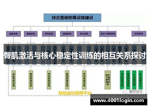 臀肌激活与核心稳定性训练的相互关系探讨